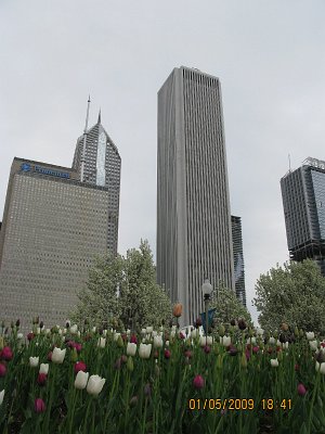 2009-05-01 Chicago (19)