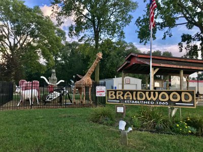 2021 Braidwood by Diana Hogan Roach 1