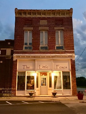 2024-05-26 Elkhart - The Little Foxes by Penny Black