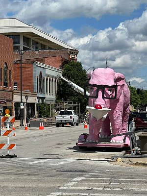 2024-05 Springfield - Pink Elephant by Jeri Chrysong