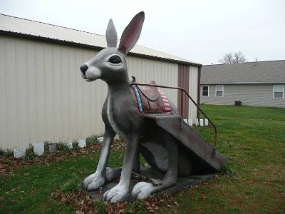 2011 Henry's Rabbit Ranch (4)
