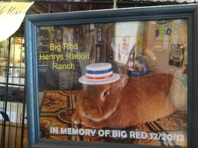 2015-04-04 Henry's Rabbit Ranch (15)