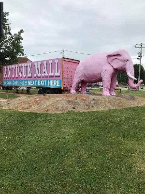 2021-02 Livingston - Pink Elephant mall 1