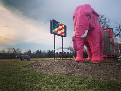 2022 Livingston - Pink Elephant mall 1