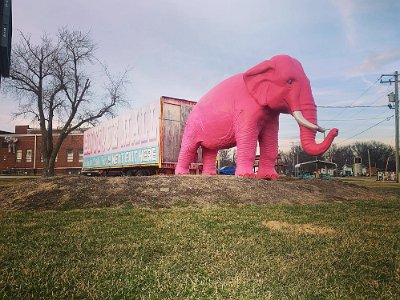 2022 Livingston - Pink Elephant mall 2