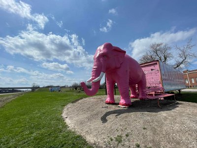 2022-04 Pink Elephant antique mall by Brian Sangamon 1