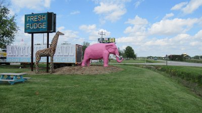 2024-05-05 Pink Elephant Antique mall by Paul Duerinck 1