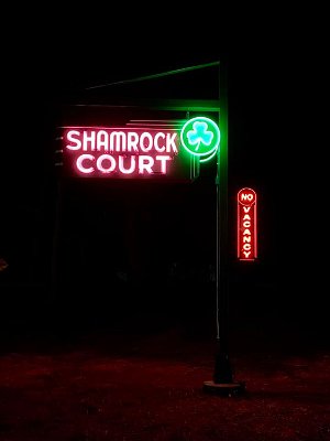 2022-03-19 Shamrock Court relightning by Kimberly Bertel 24