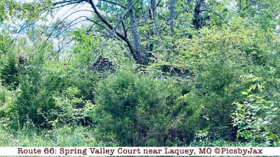 2020-05 Spring Valley Court by Pics by Jax (3)