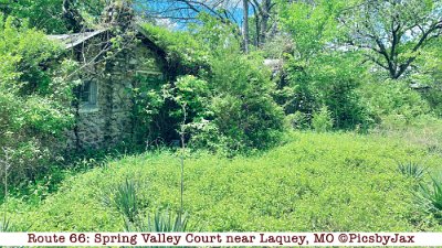 2020-05 Spring Valley Court by Pics by Jax (4)
