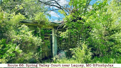 2020-05 Spring Valley Court by Pics by Jax (5)