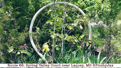 2020-05 Spring Valley Court by Pics by Jax (6)