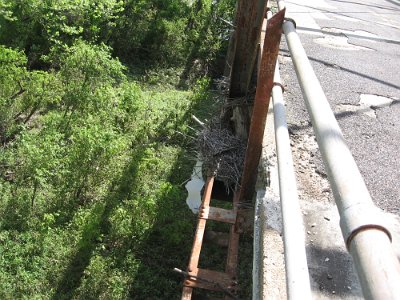 2019-05-06 Gasconade bridge (10)