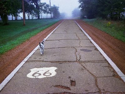 1996 Pedestrian Highway by Shellee Graham
