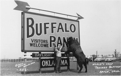 19xx Afton - Buffalo Ranch (1)