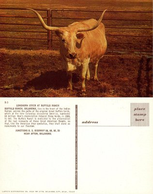 19xx Afton - Buffalo Ranch 2