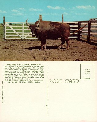 19xx Afton - Buffalo Ranch 3