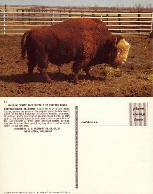 19xx Afton - Buffalo Ranch 4