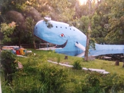 1997 Blue Whale by Dale Switzer