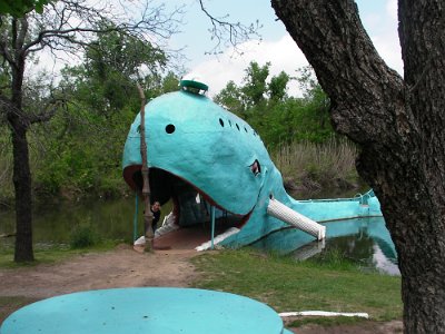 2009 Blue whale (20)
