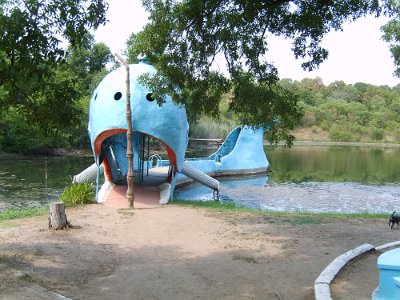 2011 Blue whale (8)