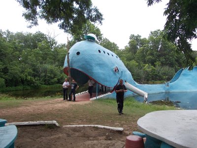 2013-06-19 Blue whale (38)
