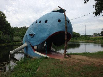 2013-06-19 Blue whale (52)