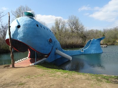 2015-04-07 Blue Whale (7)
