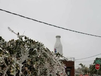 Milk bottle building