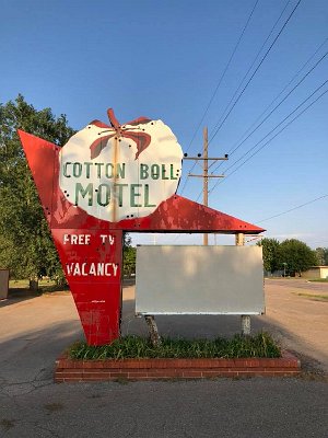 2018-08-17 Cotton ball motel