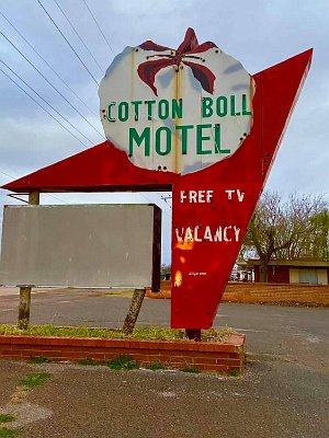 2021 Canute - Cotton Ball motel by John Wise