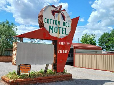 2020 Cabute - Cotton Ball motel by Etta Morris