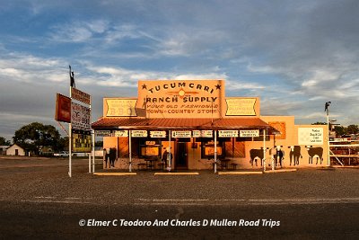 2022-07 Tucumcari - Watson's Barbecue and Tucumcari Ranch Supply by Elmer Teodoro 19