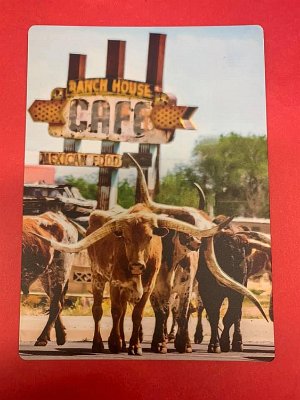 2019 Tuccumcari Rawhide days by Connie Loveland