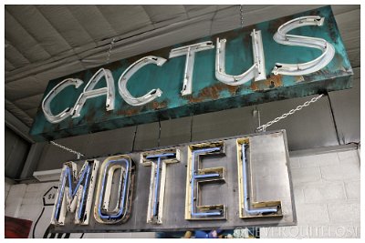 2019 Tucumcari - Cactus motel