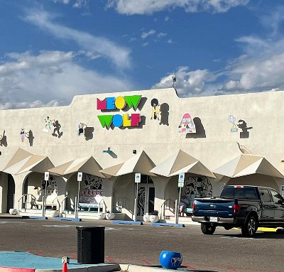 2024-05 Santa Fe - Meow Wolf by Regina Wolfe Owen (1)