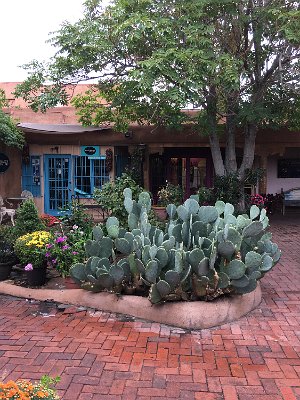 2019-09-15 ABQ old town (9)