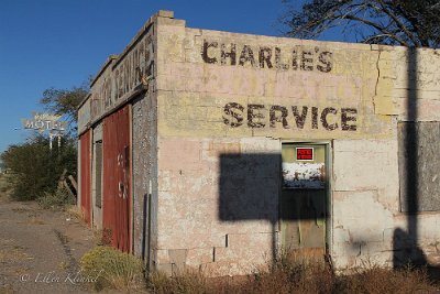 201x Grants - Charlie's Service by Ellen Klinkel