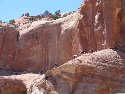 2011 Continental Divide (7)