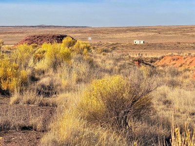 2023 Painted Desert Trading Post by Robert Jensen 3