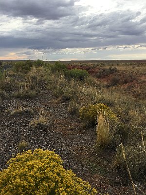 2019-09-11 Painted Desert Trading Post (135)