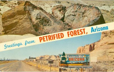 19xx Petrified Forest - Painted Desert National Park (29)