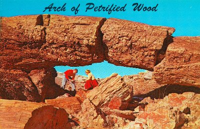 19xx Petrified Forest - Painted Desert National Park (30)
