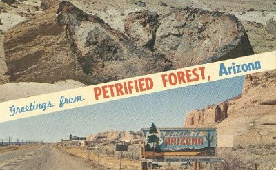 19xx Petrified Forest - Painted Desert National Park (8)