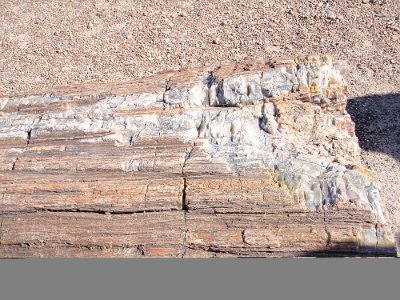 2011 Petrified Forest - Painted Desert National Park (1)