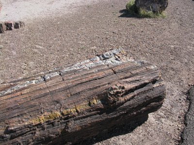 2011 Petrified Forest - Painted Desert National Park (10)