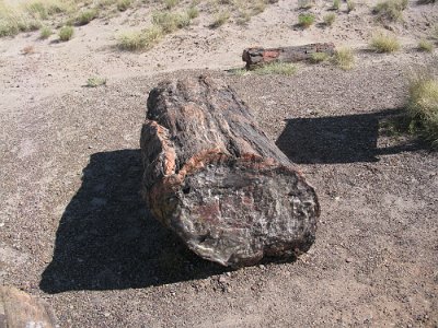 2011 Petrified Forest - Painted Desert National Park (11)