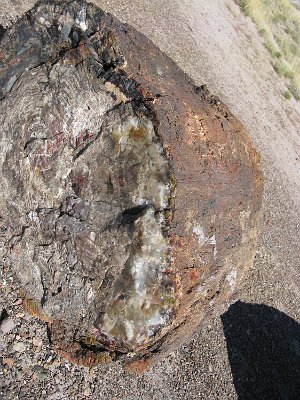 2011 Petrified Forest - Painted Desert National Park (12)