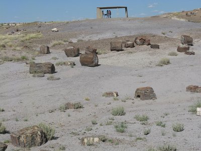 2011 Petrified Forest - Painted Desert National Park (14)