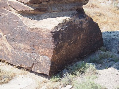 2019-06 Petrified Forest - Painted Desert National Park (15)